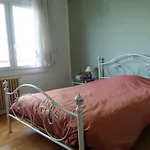 Maison Avec Jardin, Au Centre De Nancy, A 2 Pas De La Fac De Lettres